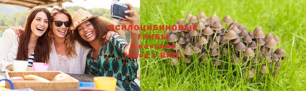 тгк Абинск