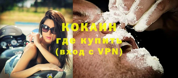 прущий лед Алзамай