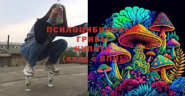 прущий лед Алзамай