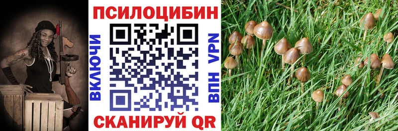 Псилоцибиновые грибы Psilocybine cubensis  Россошь 